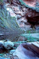 Oak Creek Canyon Reflection